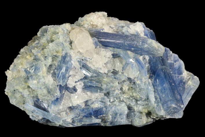 Vibrant Blue Kyanite Crystals In Quartz - Brazil #118842